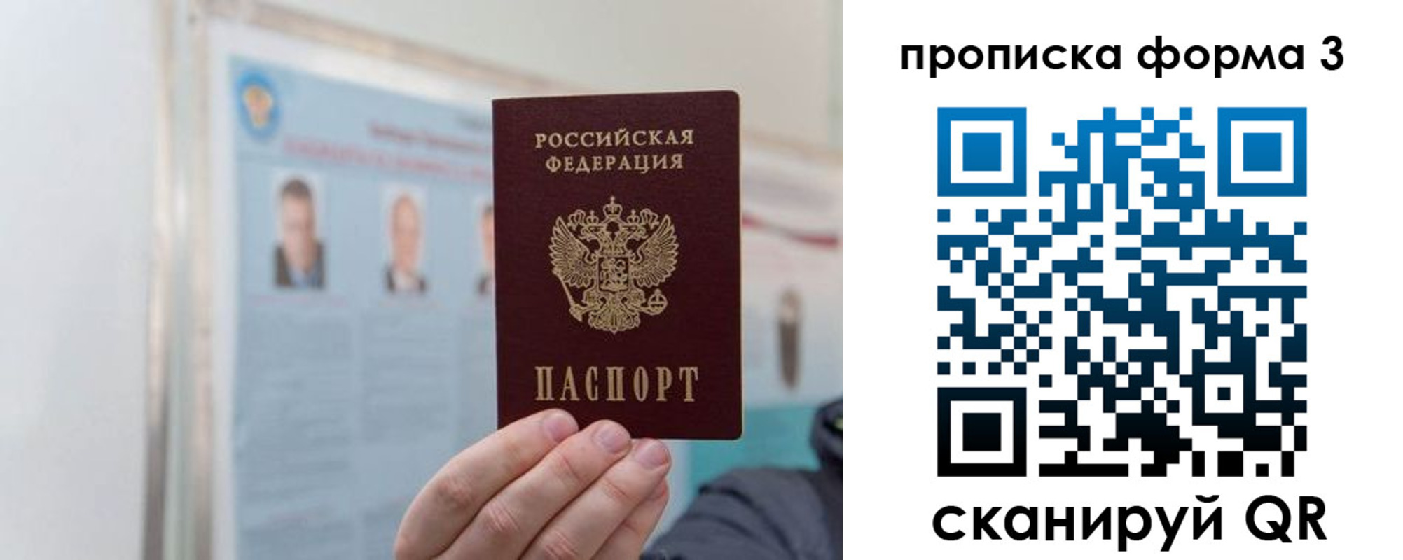 прописка законно в Жукове